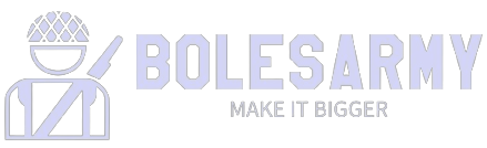 boles army logo
